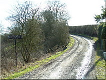 NO3910 : Cassindilly farm road by James Allan