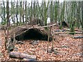 Shelters in Taliaris Forest