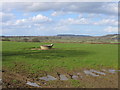 Water trough near Highlands Farm