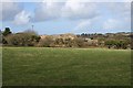 Farmland west of Carharrack