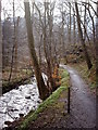 Daff Glen footpath