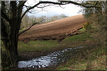 SS6512 : Ploughed field in the Hollocombe Water valley by Philip Halling