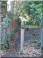 Footpath Following the Railway