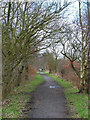 Deerness Valley Path, near Esh Winning