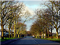 Kellaway Avenue, looking south-west