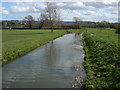 The river Cam in Gloucestershire