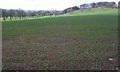 View down to Maidenhill.