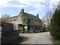 The Vines, Black Bourton