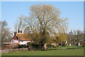 Uffculme: cottages at Lowmoor,  near Craddock