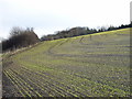 Farmland above Loudwater