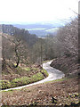 ST1437 : Crowcombe Combe looking SW ; steep road from Crowcombe by Martin Southwood