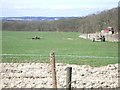 Fields north of Beggarshouse Lane