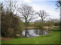 Pond at Potcote