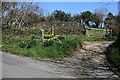 SW7639 : Junction of Road and Track - with Daffodils by Tony Atkin