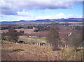 Vale of Strathmore from Finavon Hill