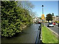 Channel of the River Itchen, Bishopstoke