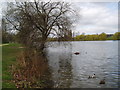 Danson Park Lake, Bexley, Kent