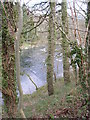 River Wye, near Abernant