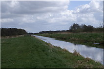 ST4340 : South Drain on Shapwick Heath by Adrian and Janet Quantock