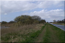 ST4141 : South Drain Westhay Heath by Adrian and Janet Quantock
