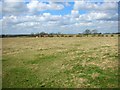 Pastures of Rectory Farm, Hannington