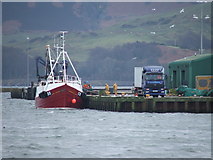 NR7220 : Unloading the catch at Campbeltown. by Steve Partridge