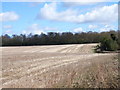 Stubble at Parsonage Farm