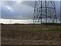 Farmland near Woodrow