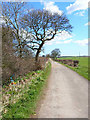 Farm road and bridleway to Humble Knowle Farm, Fishburn