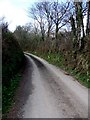 Lane near Tredown Farm