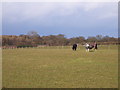 West of Chalfont St Giles