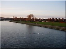 SU4314 : River Itchen by Footprints