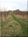 Bridleway off Melton Road, Barrow on Soar