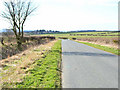 NZ3442 : NCN 14, near Haswell Moor Farm by Oliver Dixon