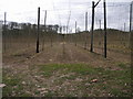 Farming Telegraph Poles