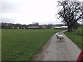 Pen-y-lan Home Farm, Pen-y-lan