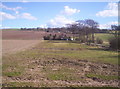 Looking Towards Damside from Balgarrock