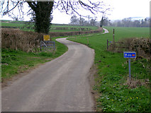 SY6393 : Lane from Muckleford to Littlewood Farm Dairy by Jim Champion