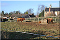 Highland cattle in the middle of Eaton