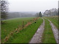 Farm track through the weald