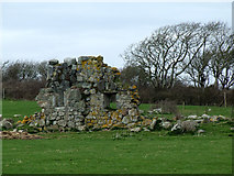 SH3879 : Bodychen ruins by Nigel Williams