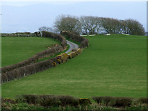  : Road to Brynclaf by Nigel Williams
