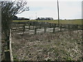 Sheep Pens