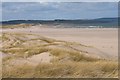 NU0646 : Sand Dunes on Goswick Beach by Hill Walker