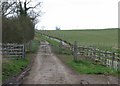 Country road towards Withcote