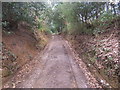 Bridleway between Munstead Heath Road and Catteshall