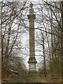 SU2264 : The Ailesbury Column, Savernake Forest by Jim Champion