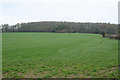 Winsham: Fosse Way near High Wood