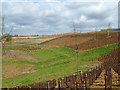 Landscaping the River Slade valley, Kettering