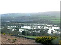 Artificial lakes at White Springs fishery